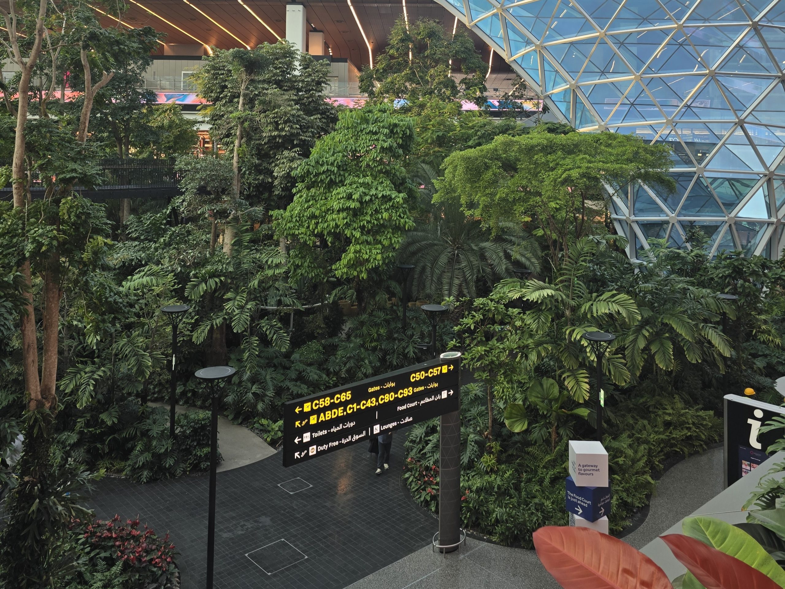 Airports That Feel Like Gateways