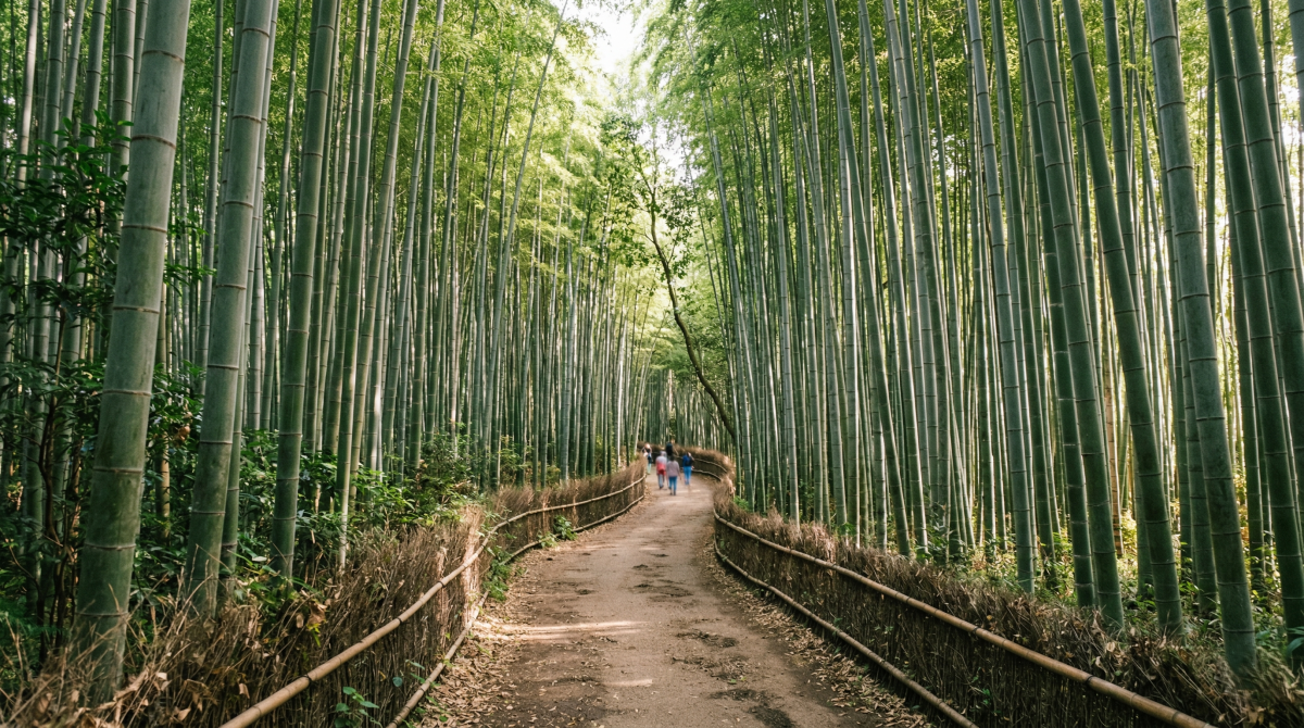 Kyoto Travel Guide