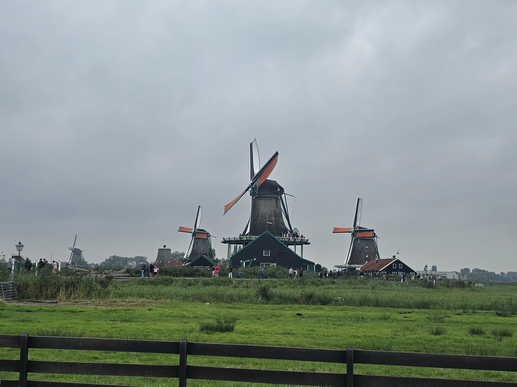 Zaanse Schans Windmill Village Guide